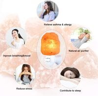 Himalayan Salt Lamp Night Light